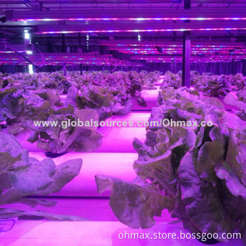 Greenhouse LED plant grow light with automatic hydroponic system for agriculture and farms